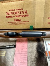Winchester Pre 64 Model 70 Gopher Special 264 win mag 100% NIB - 9 of 16