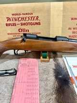 Winchester Pre 64 Model 70 Gopher Special 264 win mag 100% NIB - 2 of 16