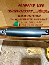 Winchester Model 70 264 Westerner Mint NIB - 10 of 18
