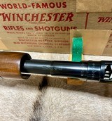 Winchester Model 12 20 ga 100% NIB 1961 - 14 of 19