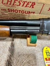 Winchester Model 12 20 ga 100% NIB 1961 - 6 of 19