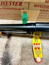 Winchester Model 12 20 ga 100% NIB 1961 - 11 of 19