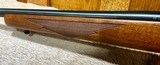 Ruger 77/17 Mach 2 SUPER RARE - 11 of 14