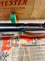 Winchester 64 Deluxe 1954 NIB - 9 of 20