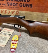 Winchester 67 NIB - 9 of 14