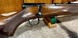 Winchester 43 Deluxe 22 Hornet 100% Original and Mint - 4 of 17