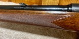 Winchester Pre 64 Model 70 243 Featherweight Minty 1957 - 13 of 15