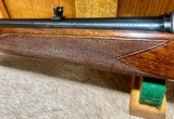 Winchester Model 70 Featherweight 243 1955 MINT - 17 of 17