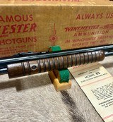 Winchester Model 62 NIB Still In Factory Grease! 1955 - 18 of 20