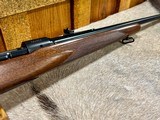 Winchester Pre 64 Model 70 308 FWT 1954 Absolutely Mint - 5 of 14
