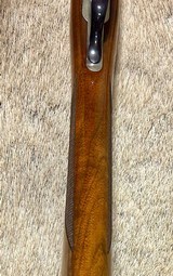 Ruger Red Label 28 Ga NIB English Stock - 10 of 15
