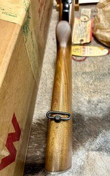 Winchester Pre 64 Model 70 308 Featherweight 1955 NIB - 10 of 18