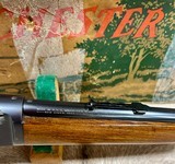 Winchester 63 Carbine 20” Barrel 1936 with Original First Edition Box SUPER RARE! - 8 of 16