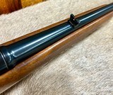 Winchester 88 Clover Leaf 1957 243 MINT - 12 of 16