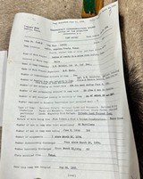 Winchester 63 Carbine 1934 Presentation Rifle From the Late Don “Duck” Combs Collection - 19 of 20