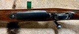 Winchester Pre 64 Model 70 35 REM 1947 Transition One of Only 404 Ever Produced - 14 of 19