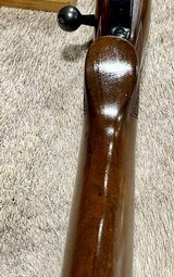 Winchester Pre 64 Model 70 243 Featherweight 1956 Near New - 7 of 14