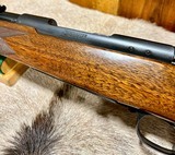 Winchester Pre 64 30 Govt 06 Transition 1948 Super Grade Near New - 13 of 15