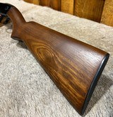 Winchester 61 Counterbore Shot 1951 Mint - 11 of 14