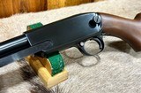 Winchester 61 Counterbore Shot 1951 Mint - 12 of 14