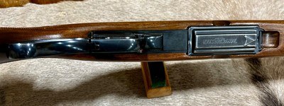 Winchester Model 88 Pre 64 284 Like New 1963 - Image 9 of 14