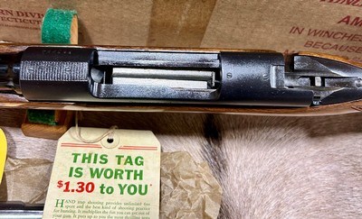 Winchester Pre 64 Model 70 Featherweight 243 NIB 1955 - Image 14 of 16