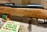 Winchester Pre 64 Model 70 Featherweight 243 NIB 1955 - Image 12 of 16