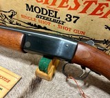 Winchester 37 Red Letter 410 ga NIB Absolute Killer Wood With Original Hang Tag - Image 14 of 19