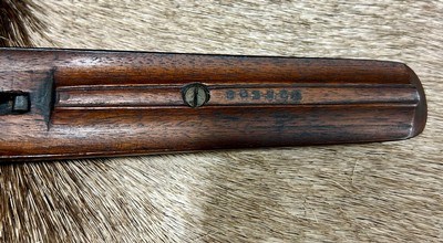 Fox A Grade 16 ga Straight Stock Like New W/Letter - Image 15 of 16