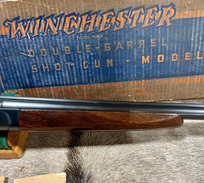 Winchester Model 24 NIB 20 Ga 1952 W/ All Factory Paperwork - Image 5 of 16
