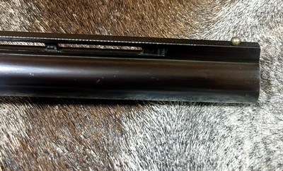 Browning A-5 Light 20 Belgium 1959 100% Original and Unfired 2nd Year Production - Image 5 of 18