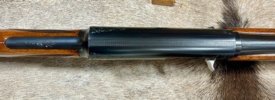 Browning A-5 Light 20 Belgium 1959 100% Original and Unfired 2nd Year Production - Image 9 of 18