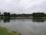 Skeeter Branch Hunting Preserve - 2 of 10
