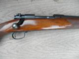 Winchester
Pre 64 70 Varmint 243 - 1 of 12
