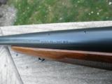 Winchester
Pre 64 70 Varmint 243 - 10 of 12