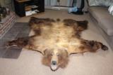 Grizzle Bear Rug - 1 of 10