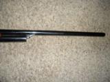 Winchester 1887 not 1901 - 5 of 15