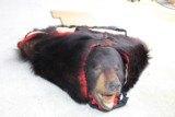 Black Bear Rug - 15 of 15