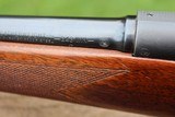 Winchester pre 64 Model 70 243 caliber - 7 of 15