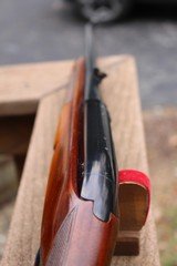 Winchester Model 88 Pre 64 243 caliber - 12 of 15