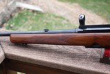 Winchester Pre 64 Model 88 308 caliber - 8 of 14