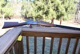 Winchester 1894 38-55