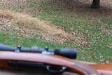 Winchester Model 88 .308 - 14 of 15