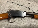 Winchester Rifle Model 1906 Pump Takedown (.22 short ONLY) - 7 of 15