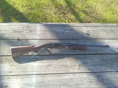 Remington model 760 .222