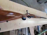 Remington model 700 .243 varmint - 8 of 8