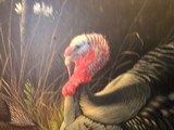 Turkey in springtime oil on board Artist Wilheim Goebel awarded two 1st Pl. awards for duck stamps, paintings 23”x32” - 6 of 11