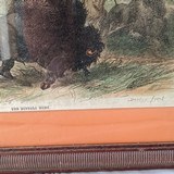 “The Buffalo hunt”and others colored newsprint from 1858 - 3 of 8