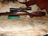 OUTSTANDING GORGEOUS RARE SAUER MODEL 80 STUTZEN FULL STOCK CARBINE BOLT ACTION RIFLE .243 WIN CALIBER - MINTY CONDITION - 6 of 12