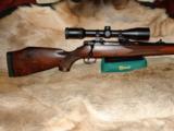 OUTSTANDING GORGEOUS RARE SAUER MODEL 80 STUTZEN FULL STOCK CARBINE BOLT ACTION RIFLE .243 WIN CALIBER - MINTY CONDITION - 1 of 12
